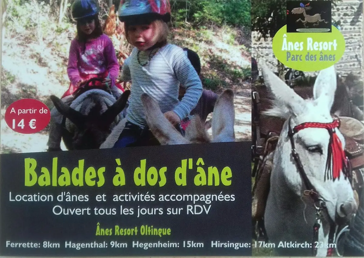 Anes Resort Oltingue - Parc des ânes