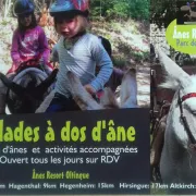 Anes Resort Oltingue - Parc des ânes