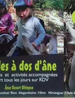 Anes Resort Oltingue - Parc des ânes