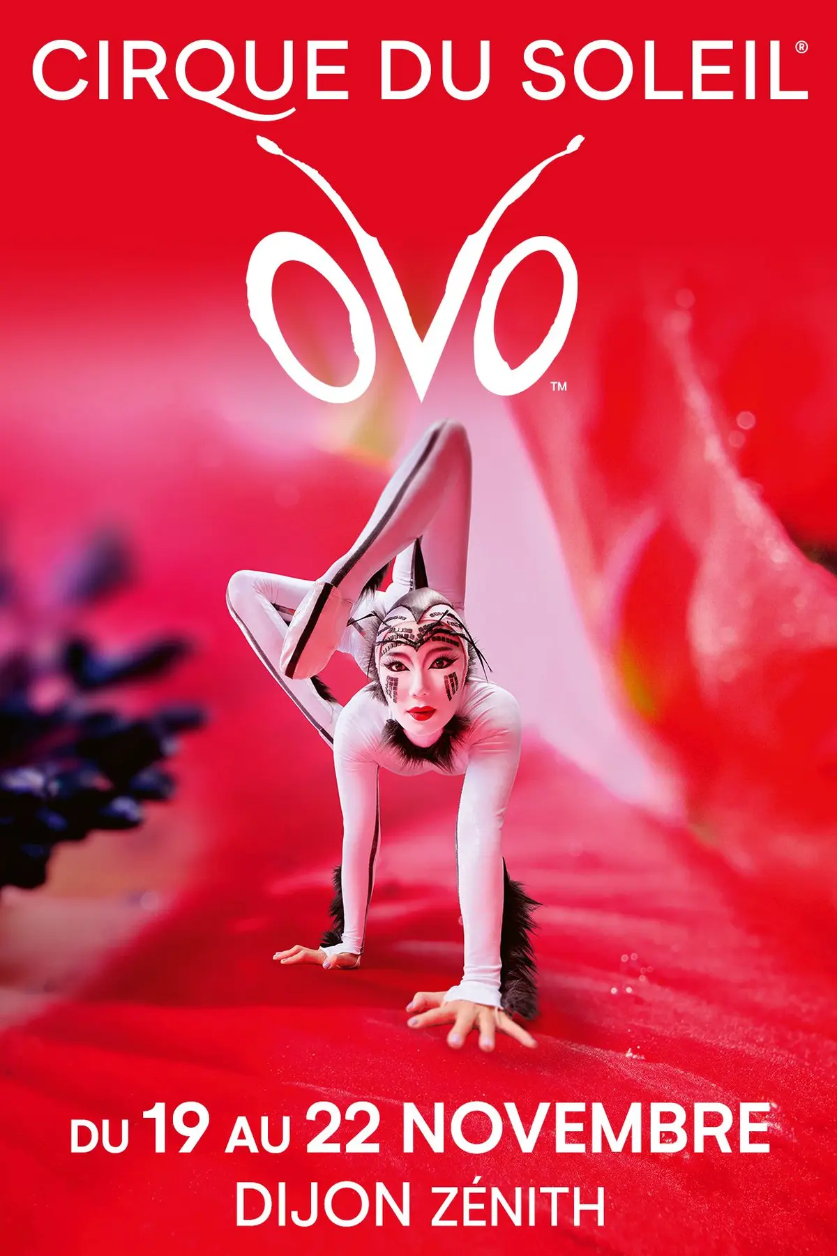 Le Cirque du Soleil OVO