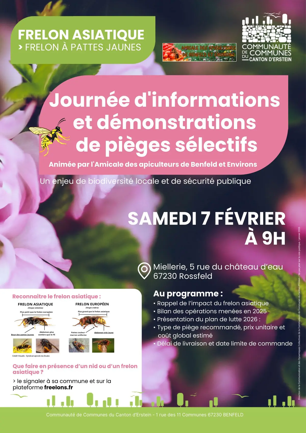 Réunion d’informations Frelon Asiatique