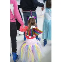 Licorne Party © Sylvie Petitdemange