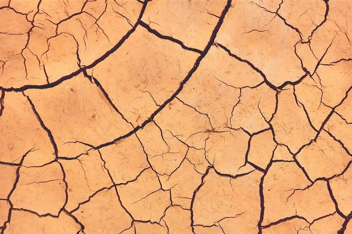 Où en est l’agriculture face au changement climatique ?