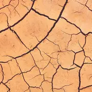 Où en est l’agriculture face au changement climatique ?