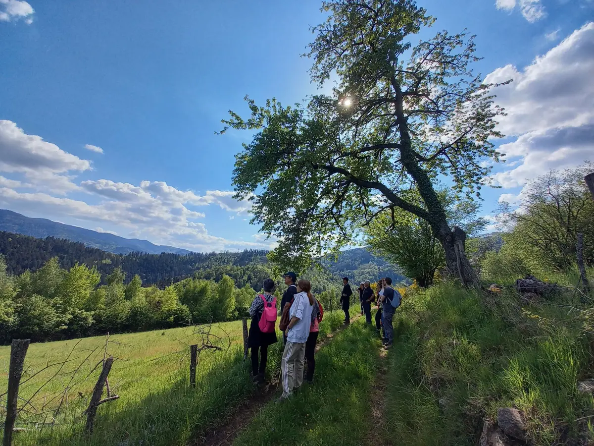 Le tour du Grand Rombach  