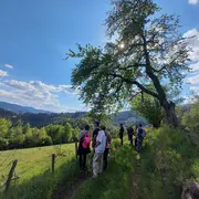 Le tour du Grand Rombach  