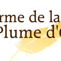  &copy; Plume d'or