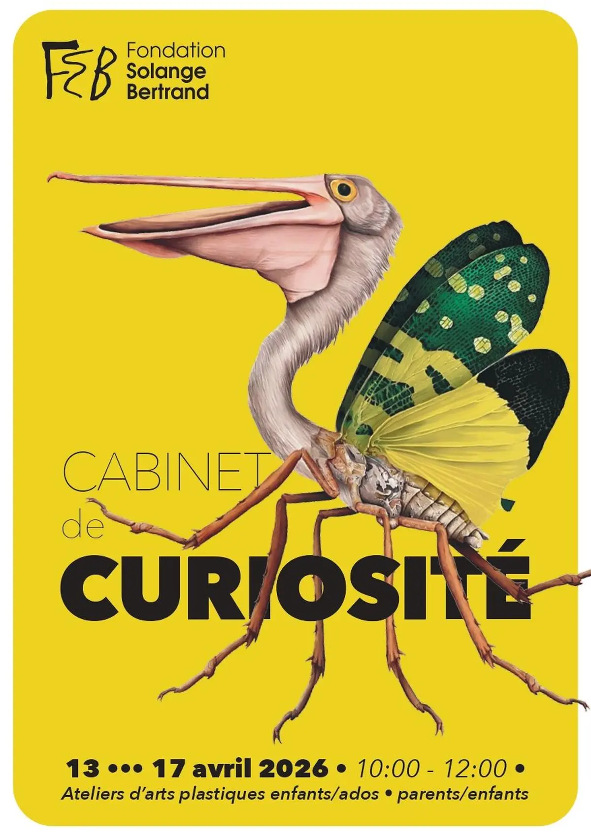 “ Cabinet de Curiosité” - Atelier d’arts plastiques - Nancy
