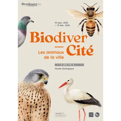 BiodiverCité. Les animaux de la ville