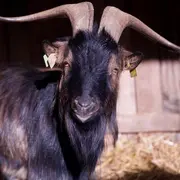 Matinée porte ouverte * Découverte 