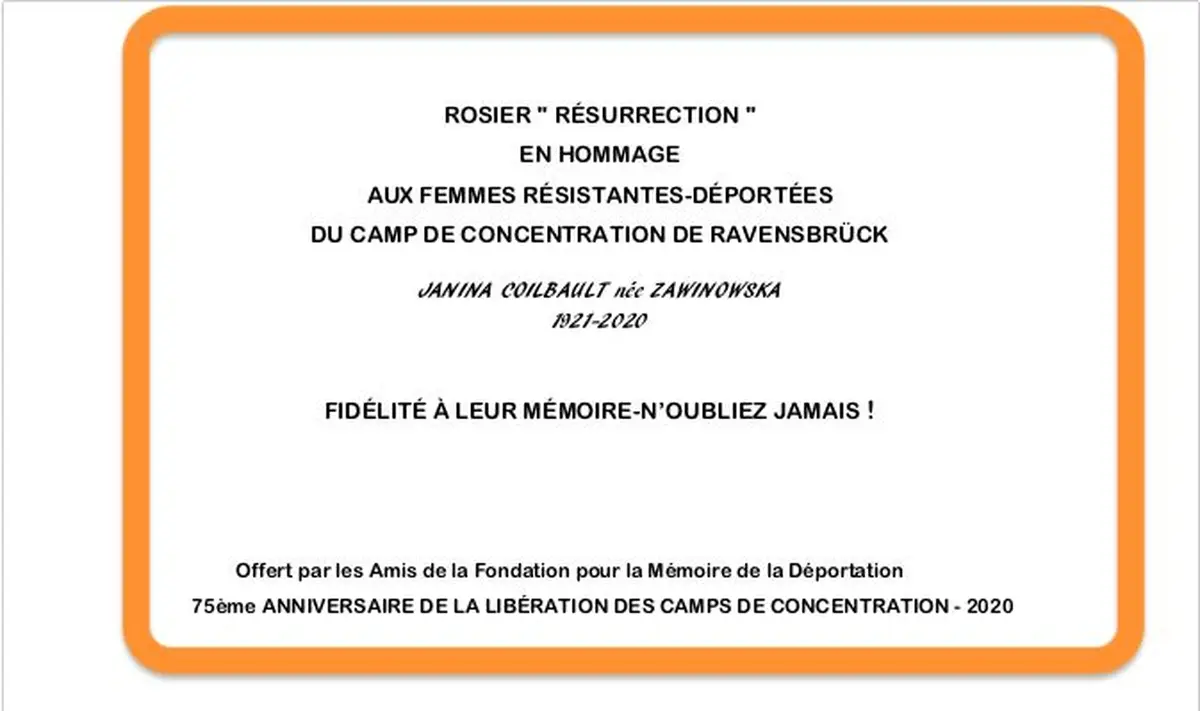 Visite du Cimetière