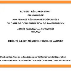 Visite du Cimetière