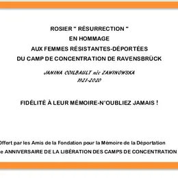 Visite du Cimetière