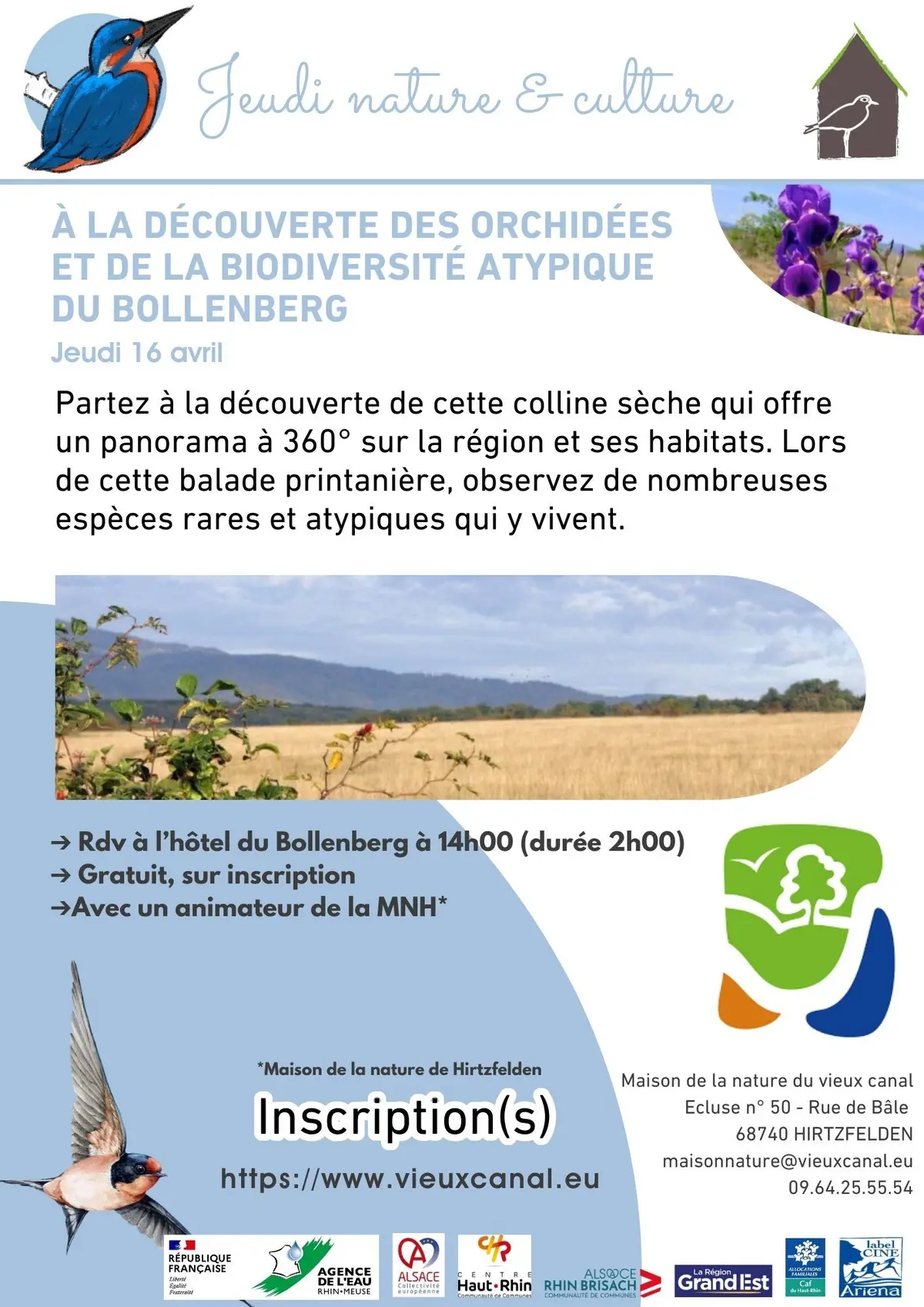 à la découverte des orchidées et de la biodiversité atypique du Bollenberg