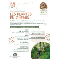 Balade familiale Les plantes en chemin avec Isabelle Mazzara  &copy; Domaine du HIRTZ