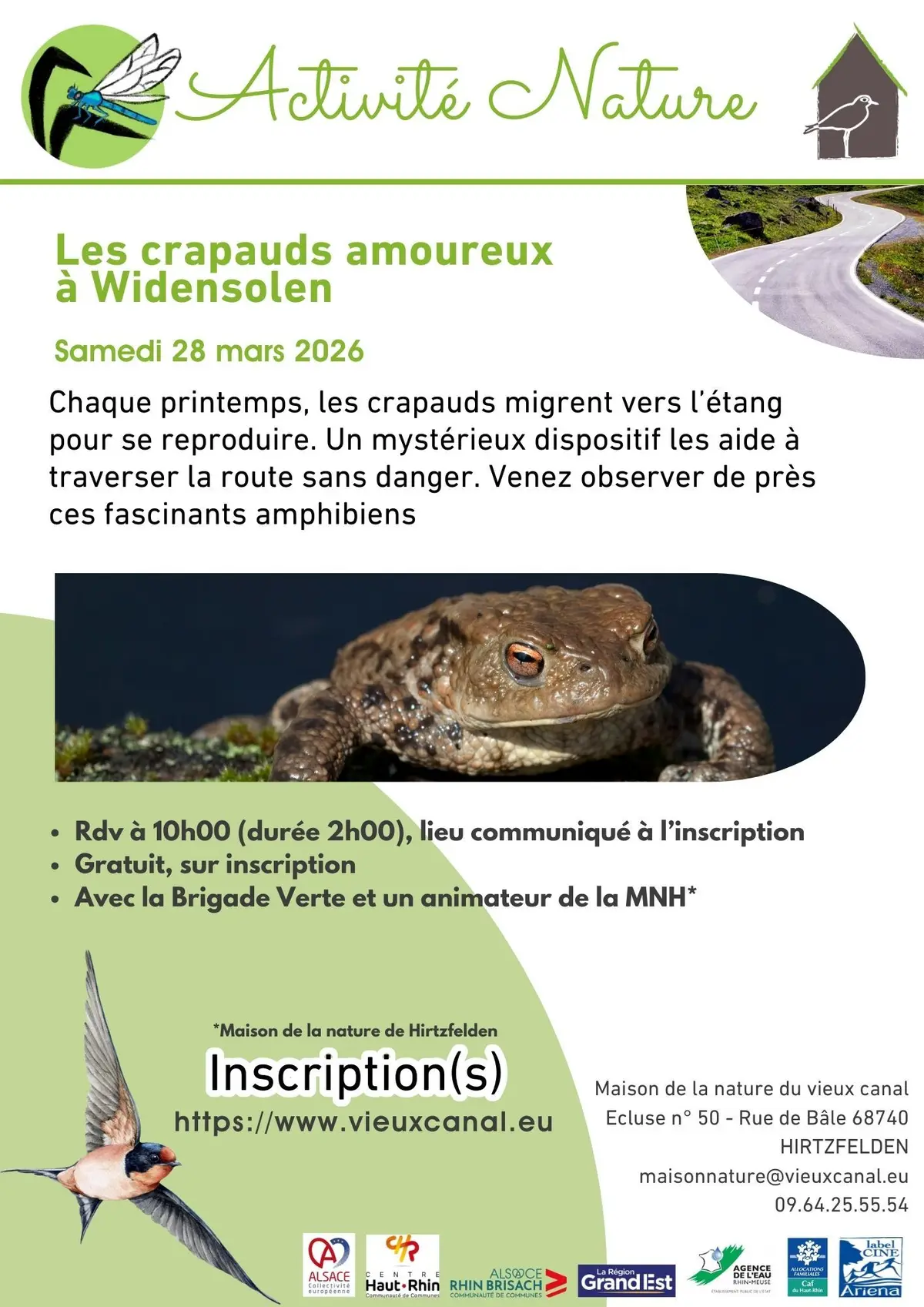 SORTIE : Les crapauds amoureux à Widensolen