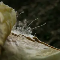 Exposition Empreintes et la terre &copy; Juliette Dignat, Éveil, 2024