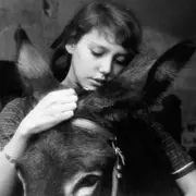 Ciné-club œcuménique - Au hasard Balthazar, de Robert Bresson (1966)