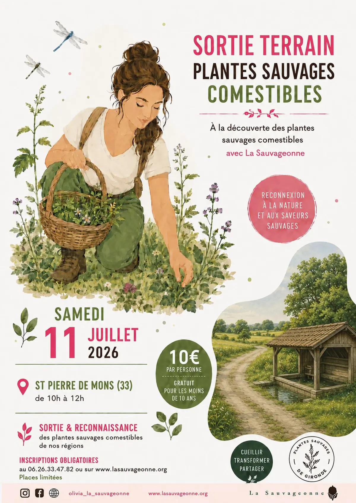 Sortie plantes sauvages comestibles à St Pierre de Mons