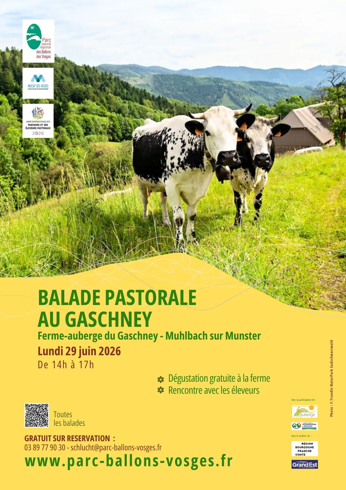 Balade pastorale – La balade du Gaschney