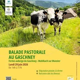 Balade pastorale – La balade du Gaschney