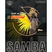 Stage Découverte Samba Brésilienne