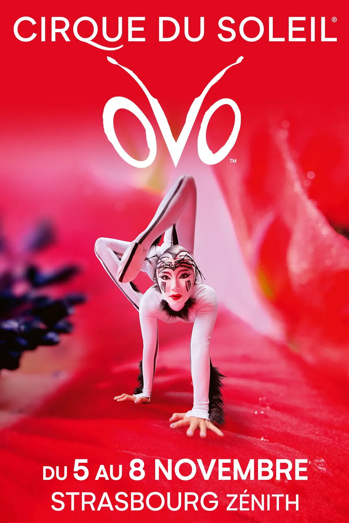 Le Cirque du Soleil OVO