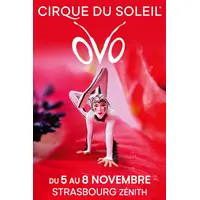 Le Cirque du Soleil OVO &copy; DR