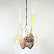 Joyeux anniversaire !  J'ai transmuté.