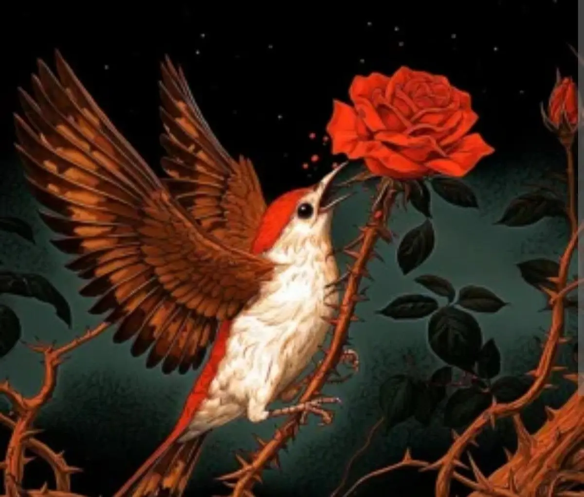 Au XXᵉ siècle, la poésie turque change de costume ! 