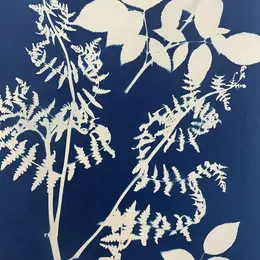 Découverte artistique : le cyanotype