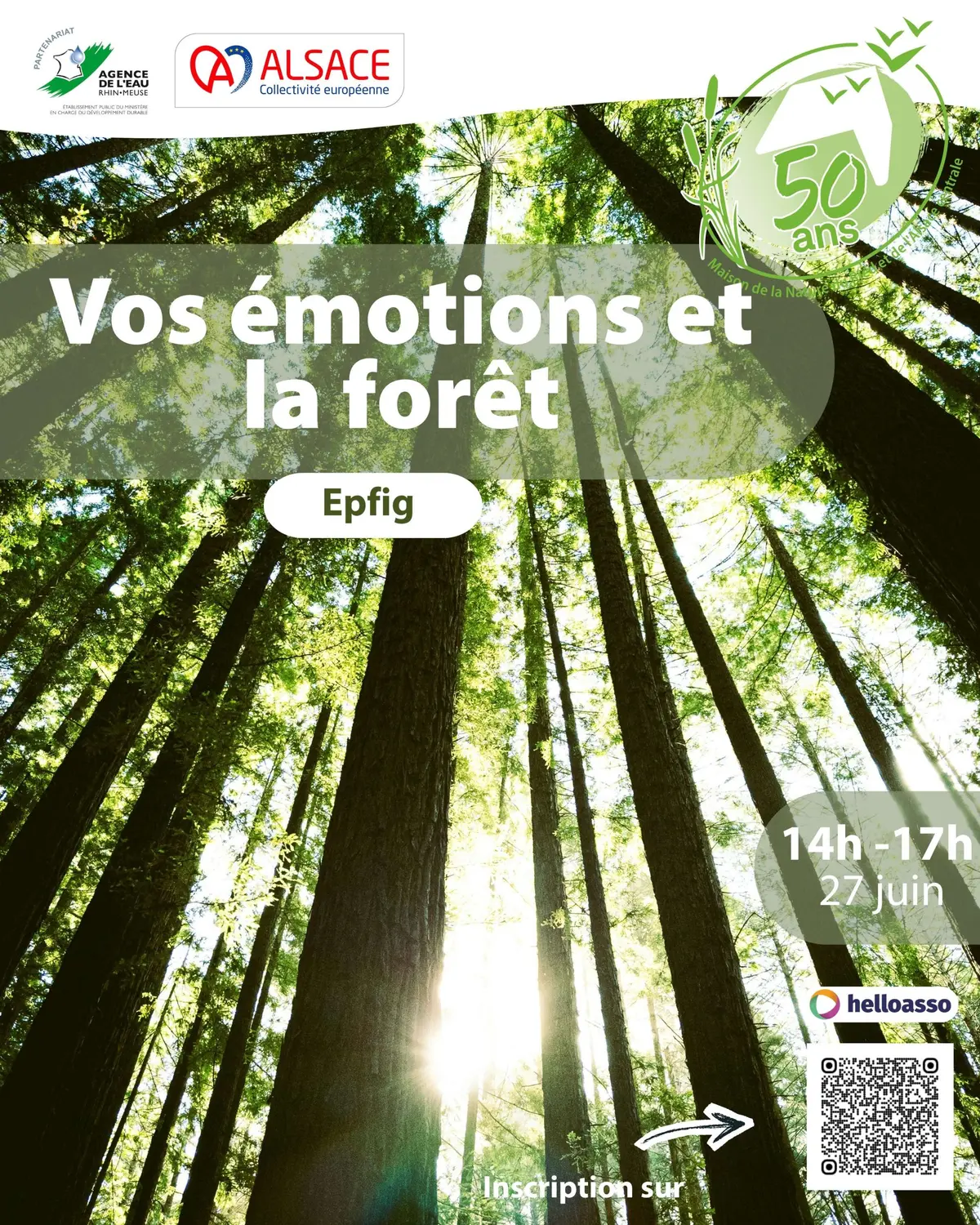 Vos émotions et la forêt
