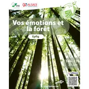Vos émotions et la forêt