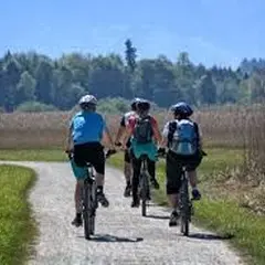 Sortie guidée à vélo - Paysages