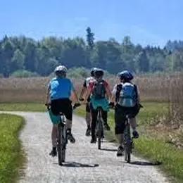 Sortie guidée à vélo - Paysages