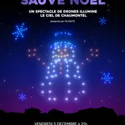 Spectacles de drones lumineux - Marché de Noël de Chaumontel (95)