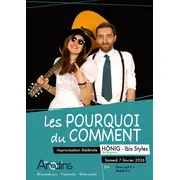 Les pourquoi du comment des Anodin, au Hönig Ibis Dtyles