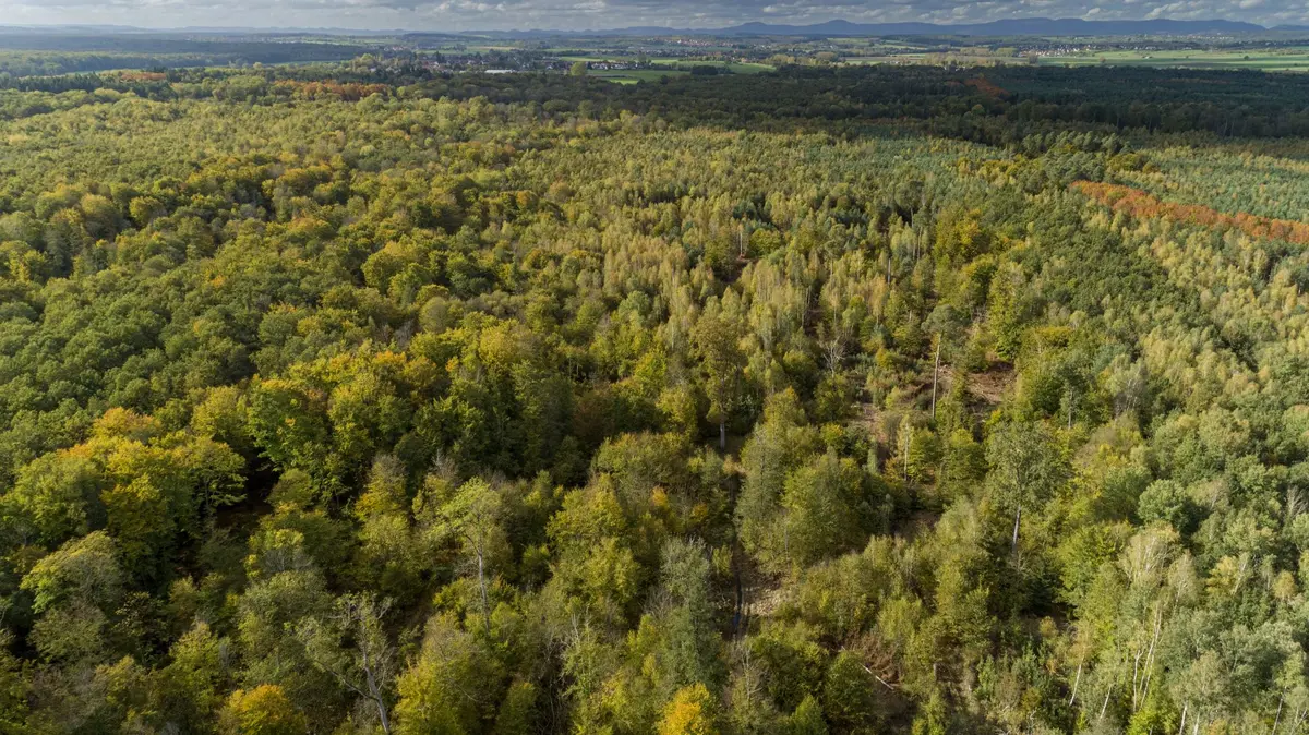 Visite des locaux de l'ONF 
