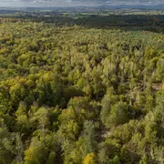Visite des locaux de l'ONF 