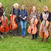 Concert Violoncelles