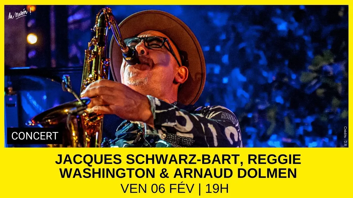Jacques Schwarz-Bart, Reggie Washington & Arnaud Dolmen