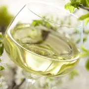 Afterweek - Vins & Asperges 