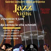 Costel Nitescu Amati Schmitt concert jazz