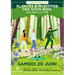 Visite | Les forêts de l'histoire 14-18 : Plantes et Mystères des Sous-Bois