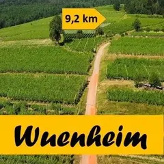 Marche Gourmande des Vendanges