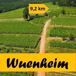 Marche Gourmande des Vendanges