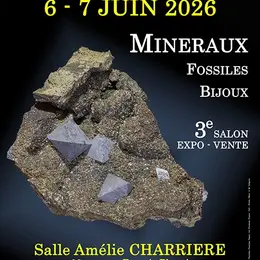 3e SALON Minéraux Fossiles Bijoux de Dax (Landes)