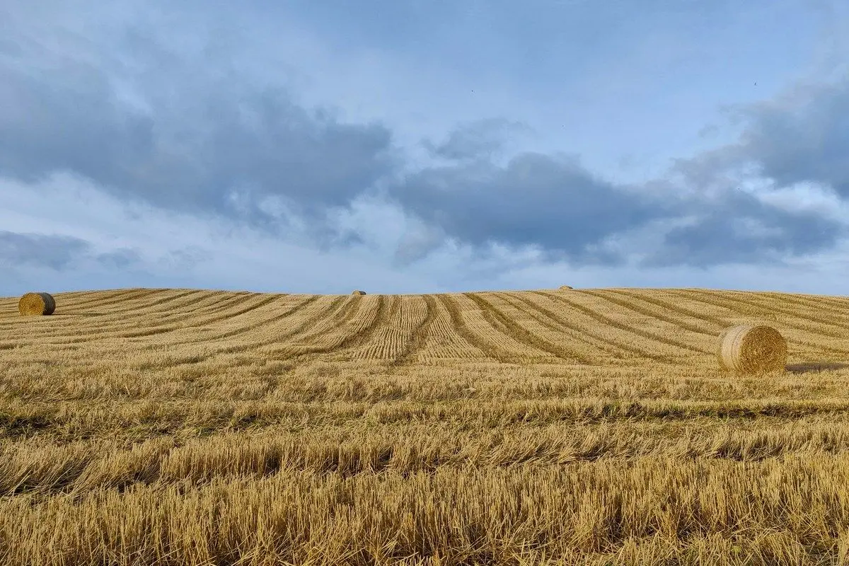 Quel avenir pour les terres agricoles ?
