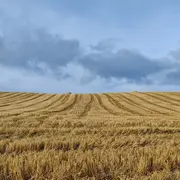 Quel avenir pour les terres agricoles ?