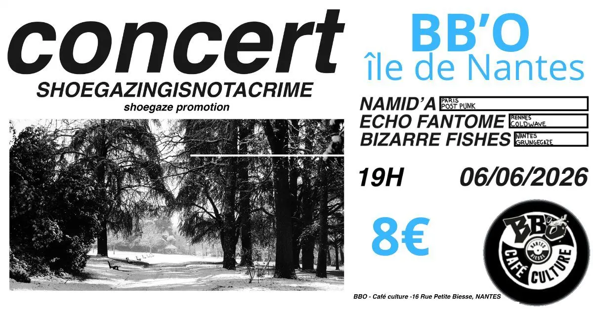Coldwave-shoegaze : Namid’A + Echo Fantome + Bizarre Fishes 